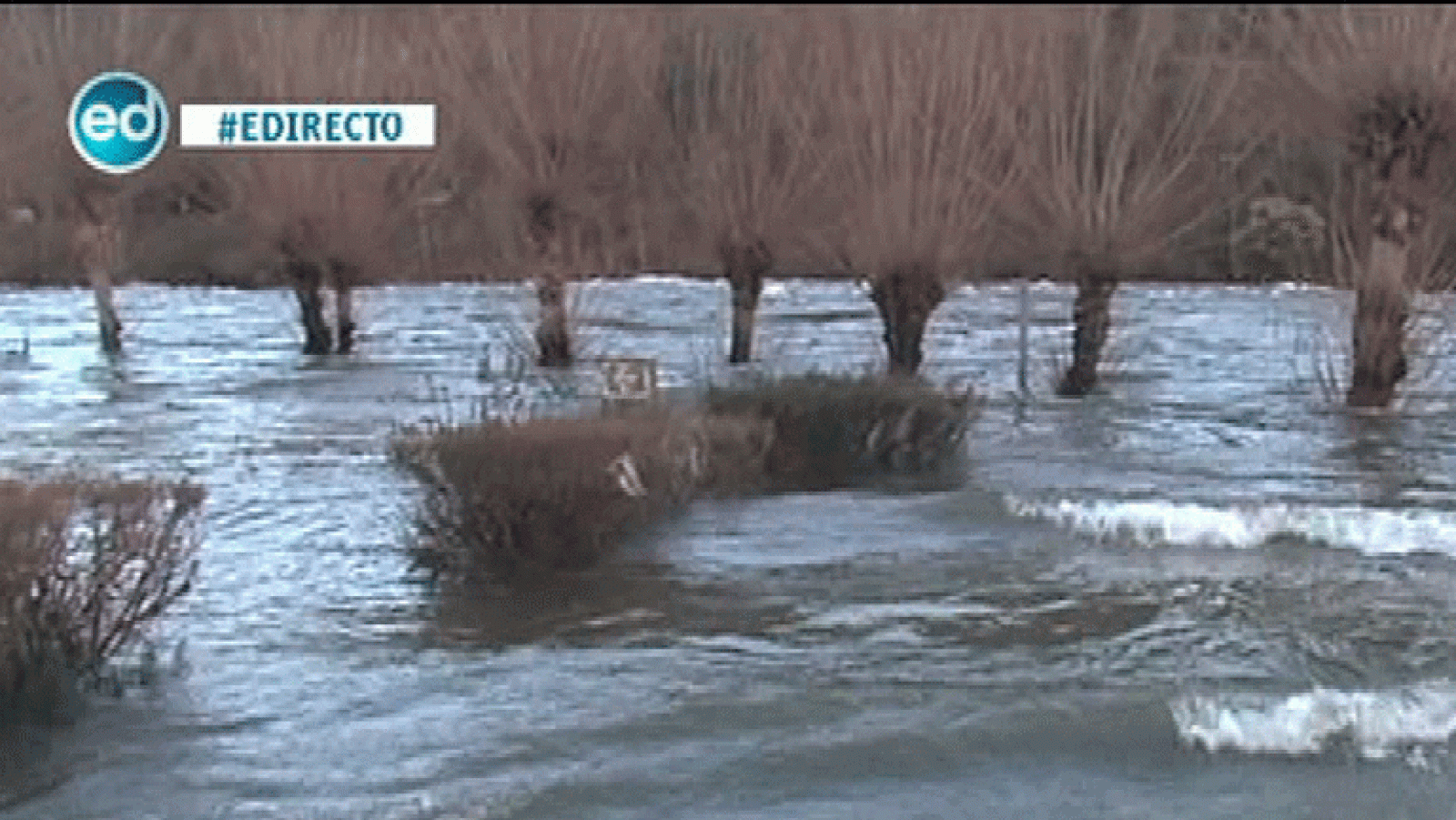 España Directo- El río Miño se desborda en varias zonas