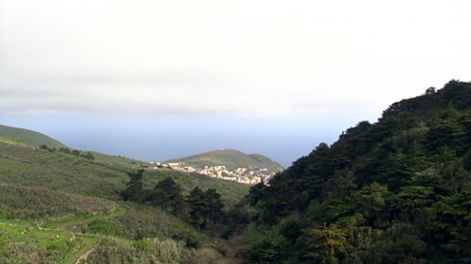 El tiempo en Canarias - 11/02/14 | Ver