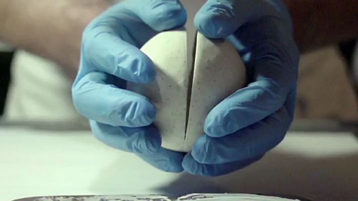 Telediario 1 - Cine Culinario en el Festival de Berlín