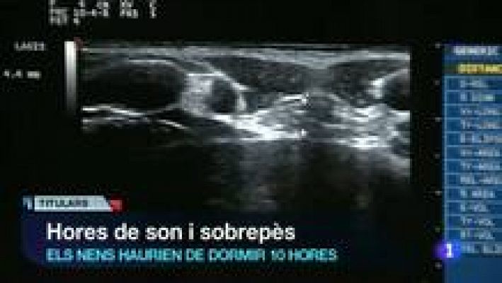 L'Informatiu - L'Informatiu en 3' - 13/02/2014