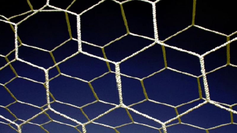 El León de Oro, compañía radicada en Callosa de Segura (Alicante), ha fabricado las redes con las que se equiparán las porterías en el Mundial de fútbol de Brasil que se celebrará en los meses de junio y julio de 2014. La empresa, de carácter familia
