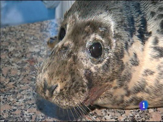 Panorama Regional - Panorama Regional - 13/02/14