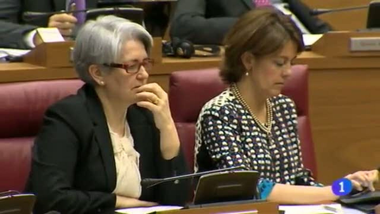 Telenavarra 2 - 13/02/2014 | Ver