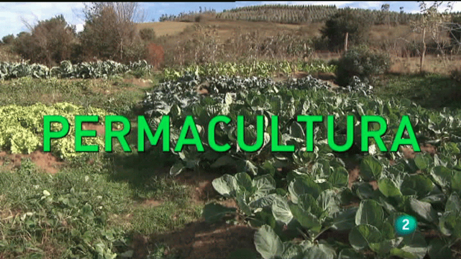 La Aventura del Saber. Permacultura
