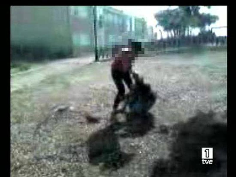  Conmoción por la paliza que recibió una inmigrante ecuatoriana en Colmenarejo, Madrid