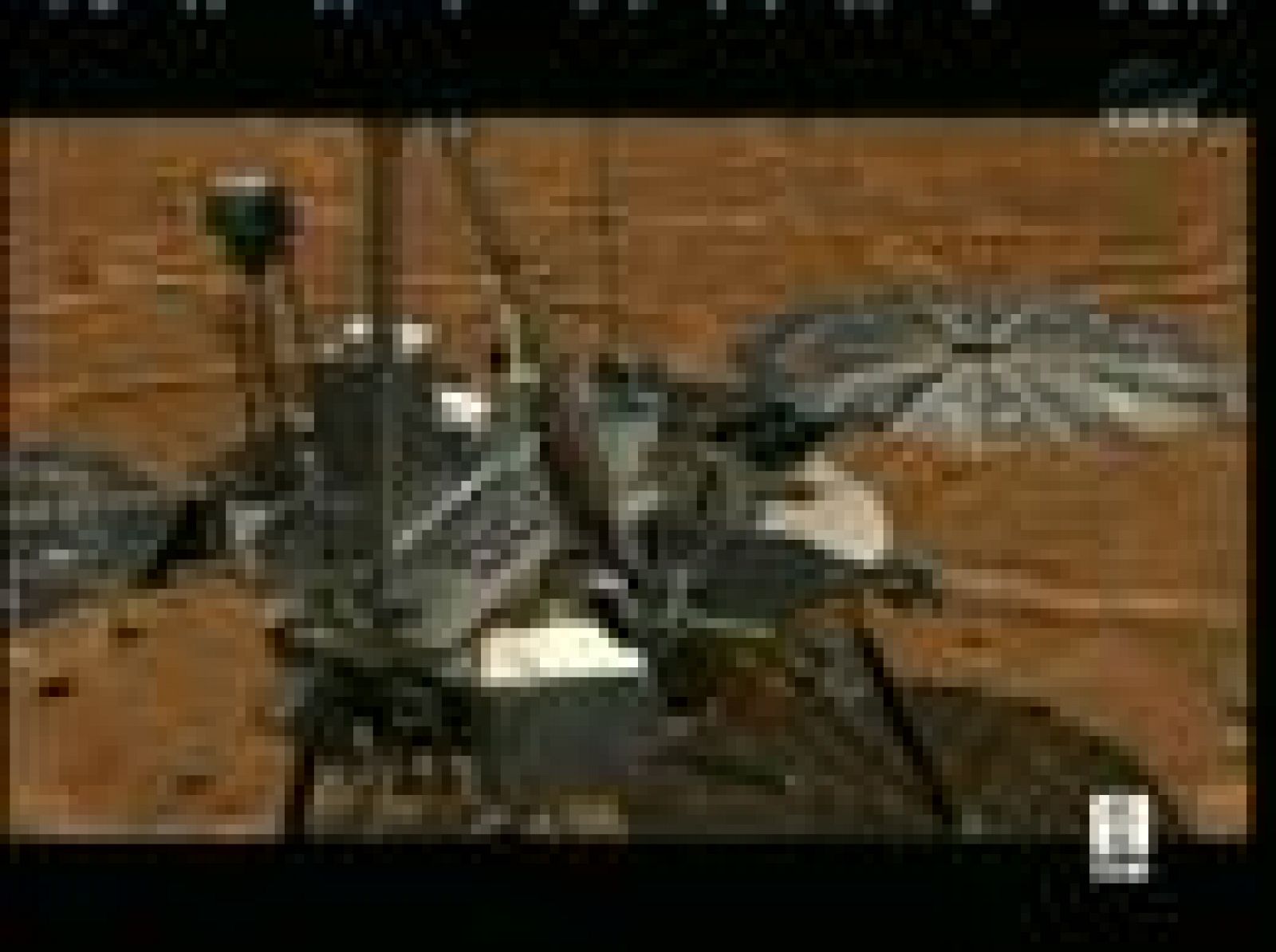 Hay agua en Marte | Ver