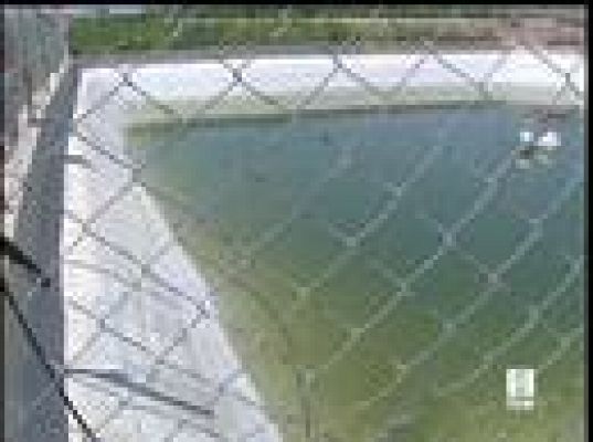  - Muere ahogado un niño de 11 años