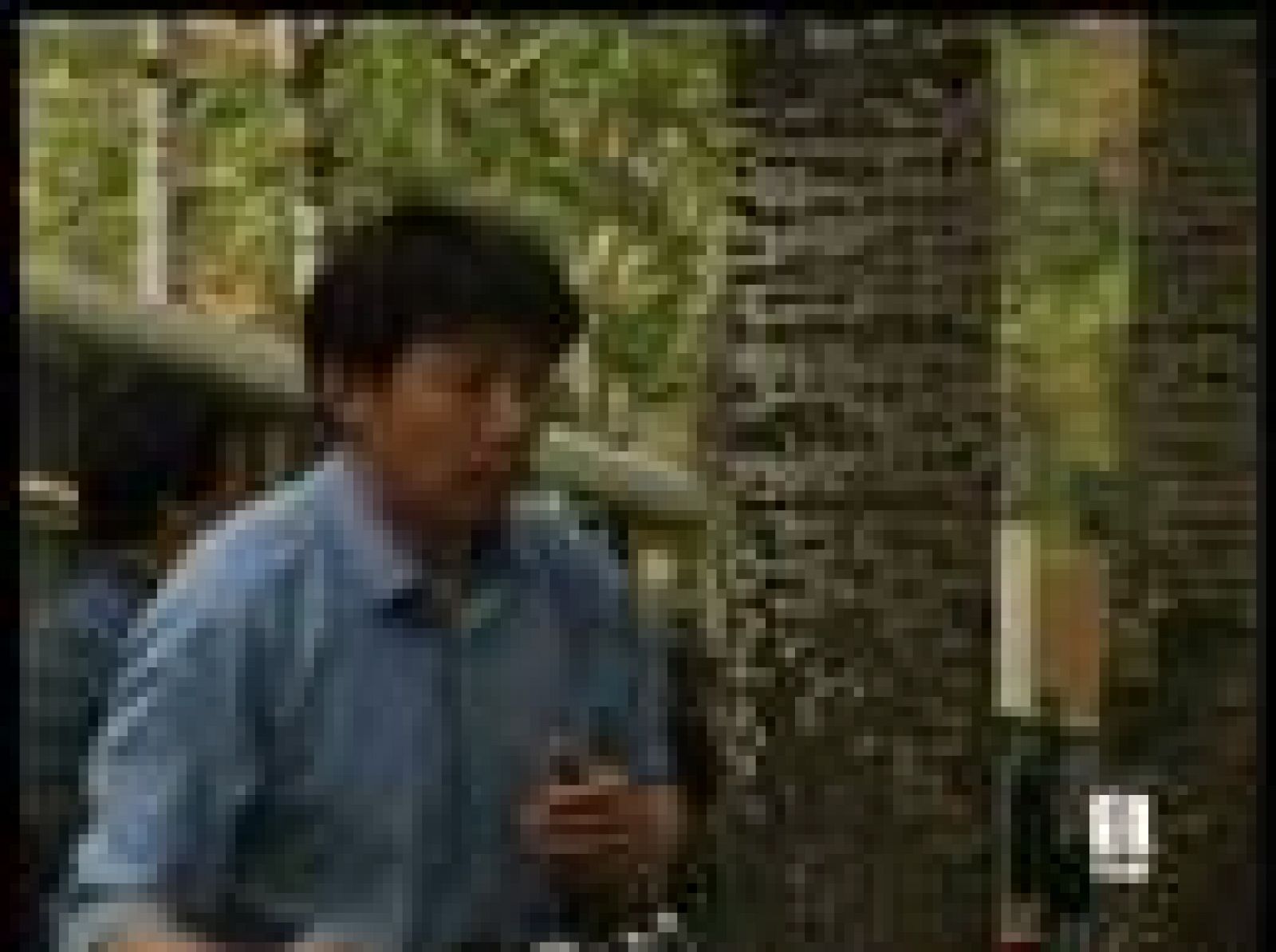 Las autoridades chinas han cedido a las presiones del COI y han levantado parcialmente el embargo de ciertas páginas de internet con contenido político. Aún así, los periodistas seguirán teniendo restricciones en el acceso a la red.