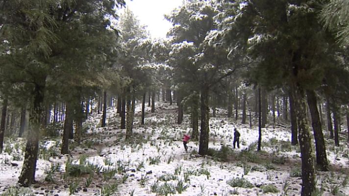 Telecanarias - Canarias en 2'- 15/02/14
