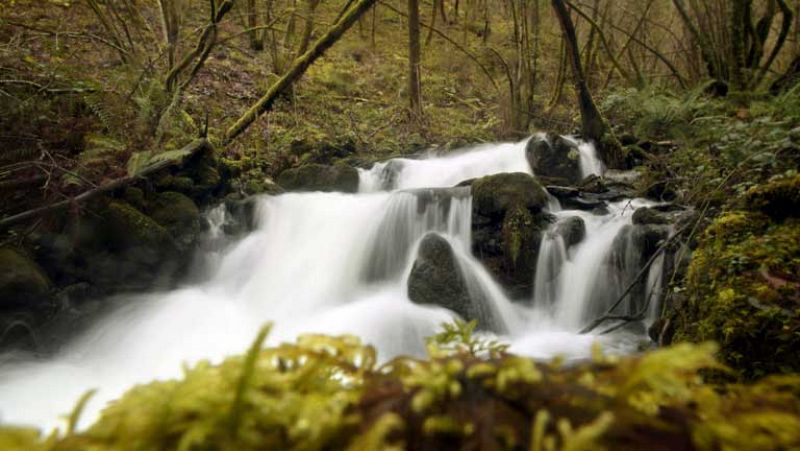 Tiempo muy nuboso y lluvioso en Galicia