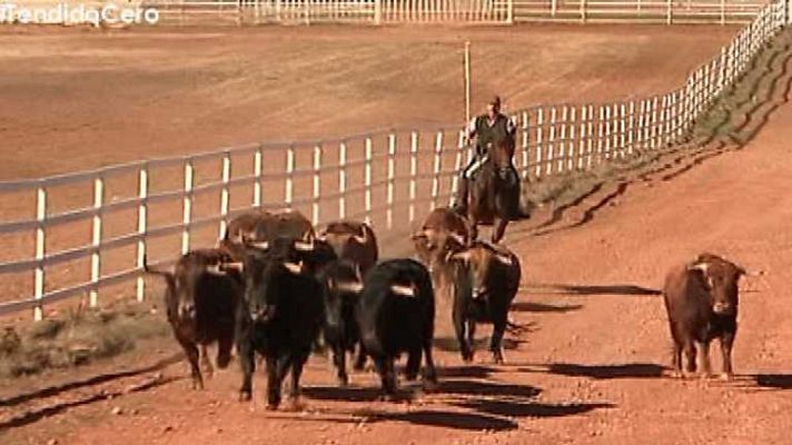 Tendido cero - Tendido Cero - 15/02/14
