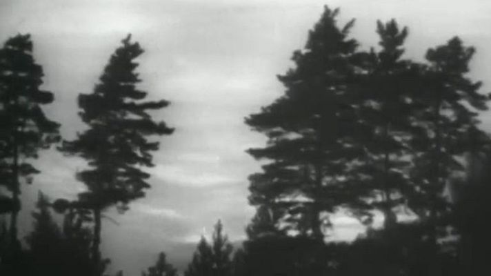 El planeta azul - Incendio en el bosque