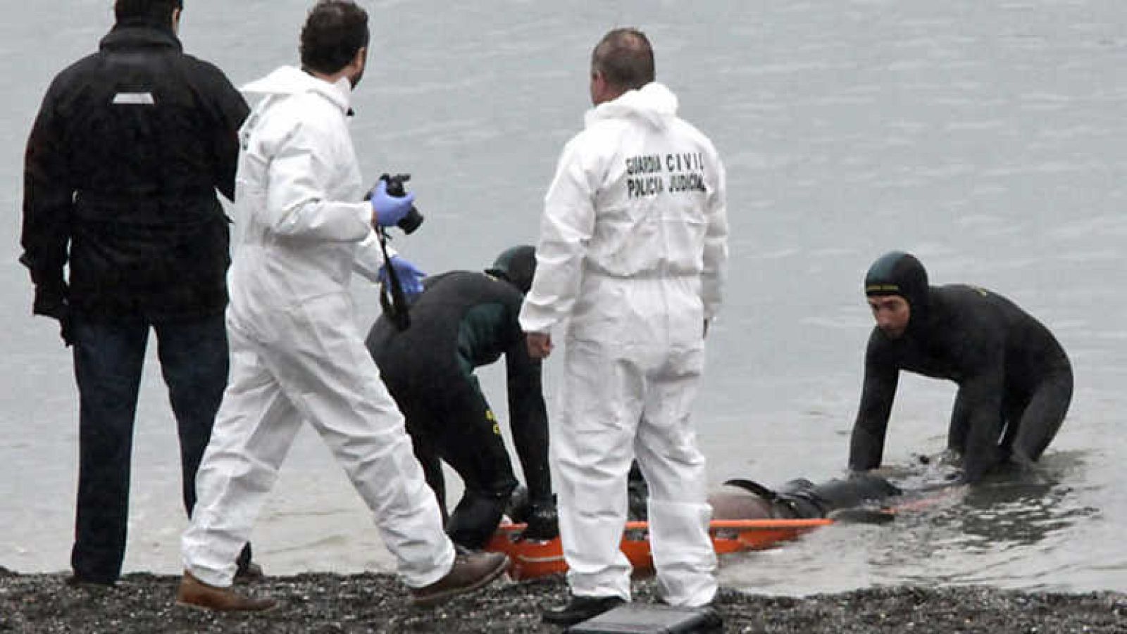 Informe Semanal - El espigón de los sueños rotos - Ver ahora