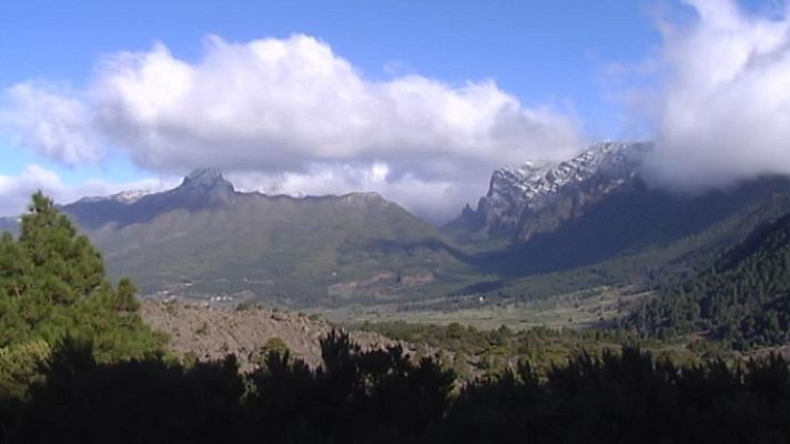 Telecanarias - Telecanarias - 16/02/14