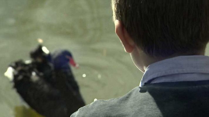 Telediario 1 - Trastornos del comportamiento