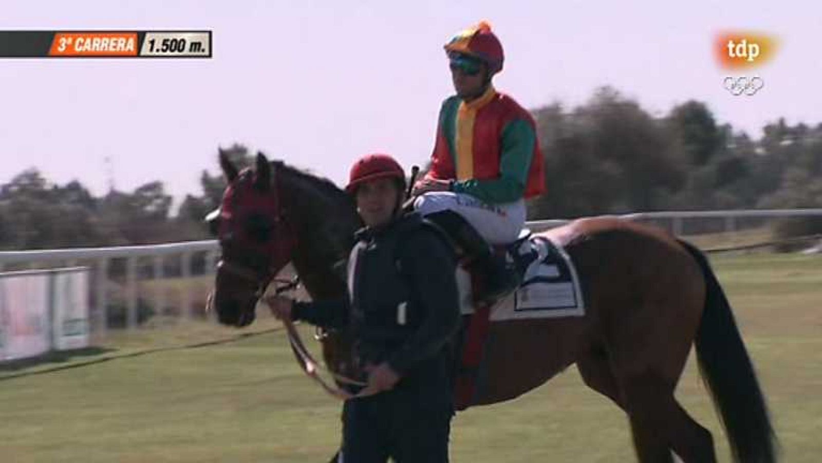 Turf - 17/02/14 - Ver ahora