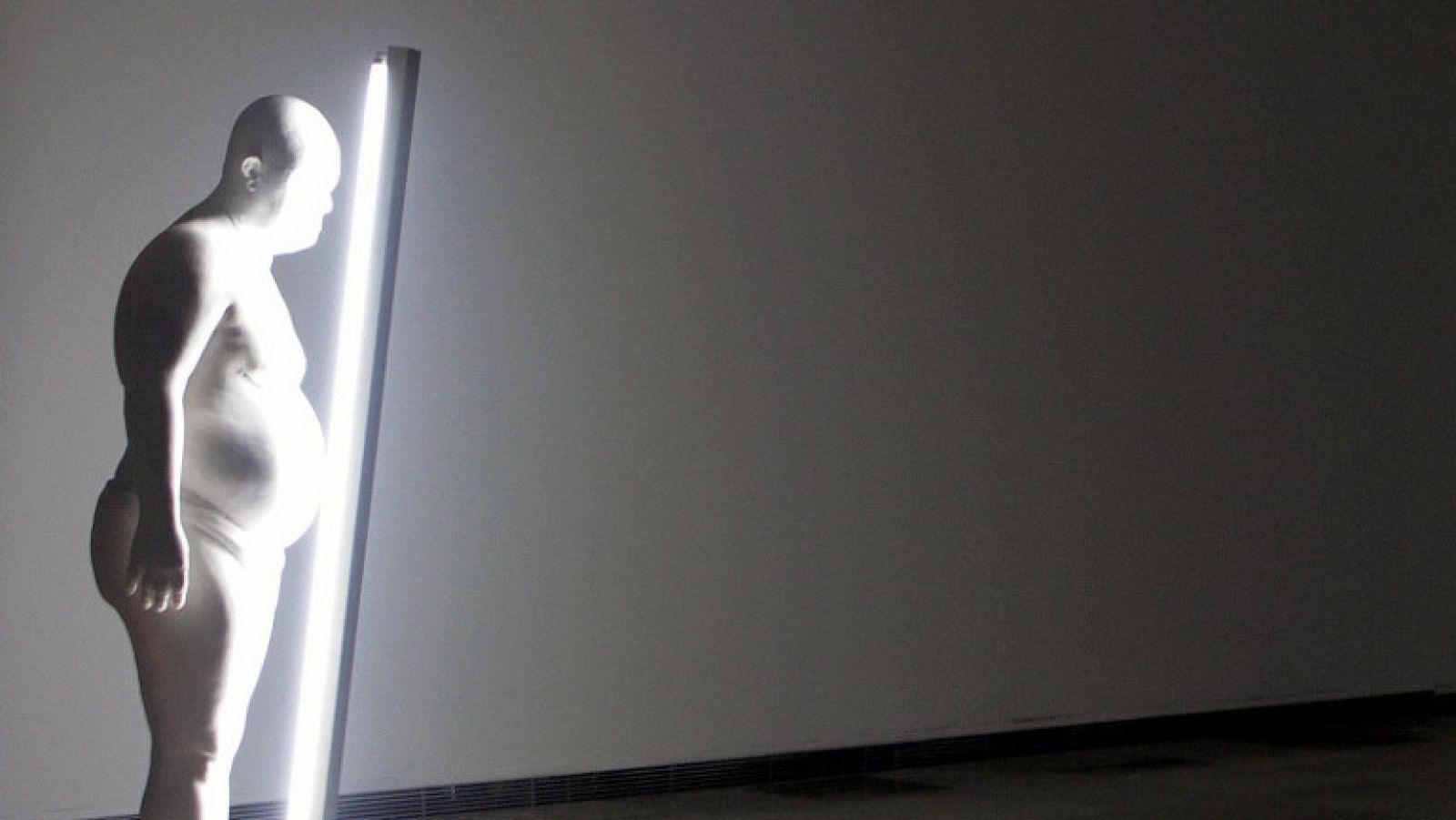 En el territorio de Bernardí Roig - Ver ahora