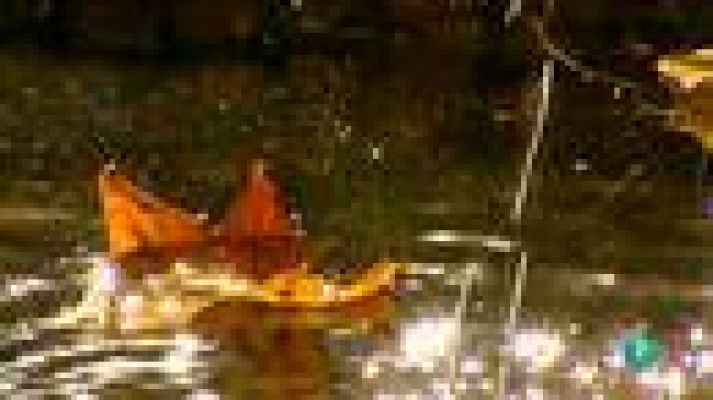 La aventura del Saber - La Aventura del Saber. Amigos del Real Jardín Botánico