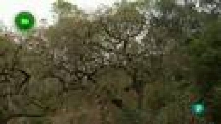 Agrosfera - Desierto de Las Palmas (Castellón)