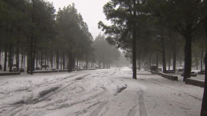Telecanarias - Canarias en 2' - 17/02/14
