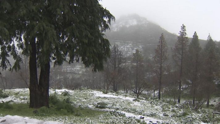 Cerca de ti - Cerca de ti - 17/02/14