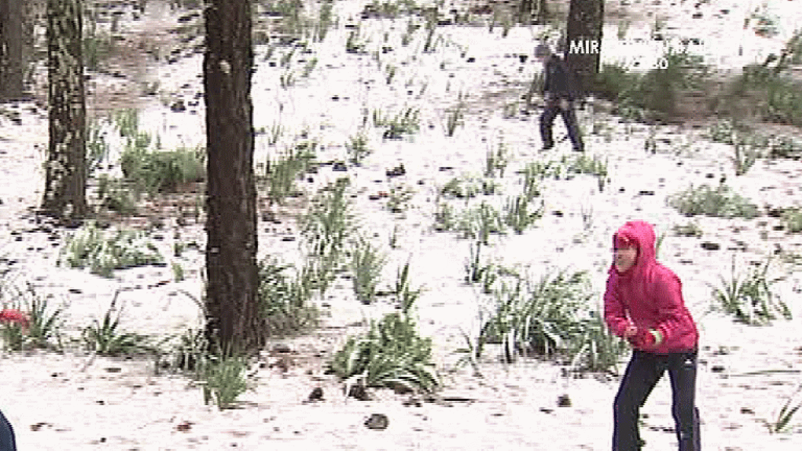 España Directo- Nieva en La Gomera tras un siglo sin hacerlo