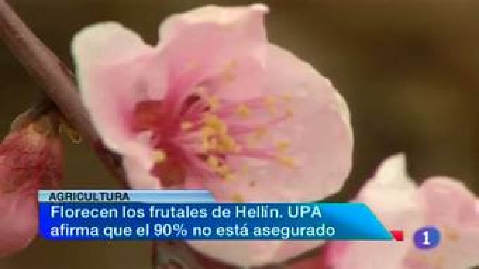 Noticias de Castilla-La Mancha. 18/02/14 | Ver