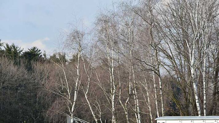 Informativo de Madrid - El tiempo en la Comunidad de Madrid - 19/02/14