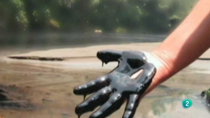 Para todos La 2 - Para todos La 2 - 19/02/14