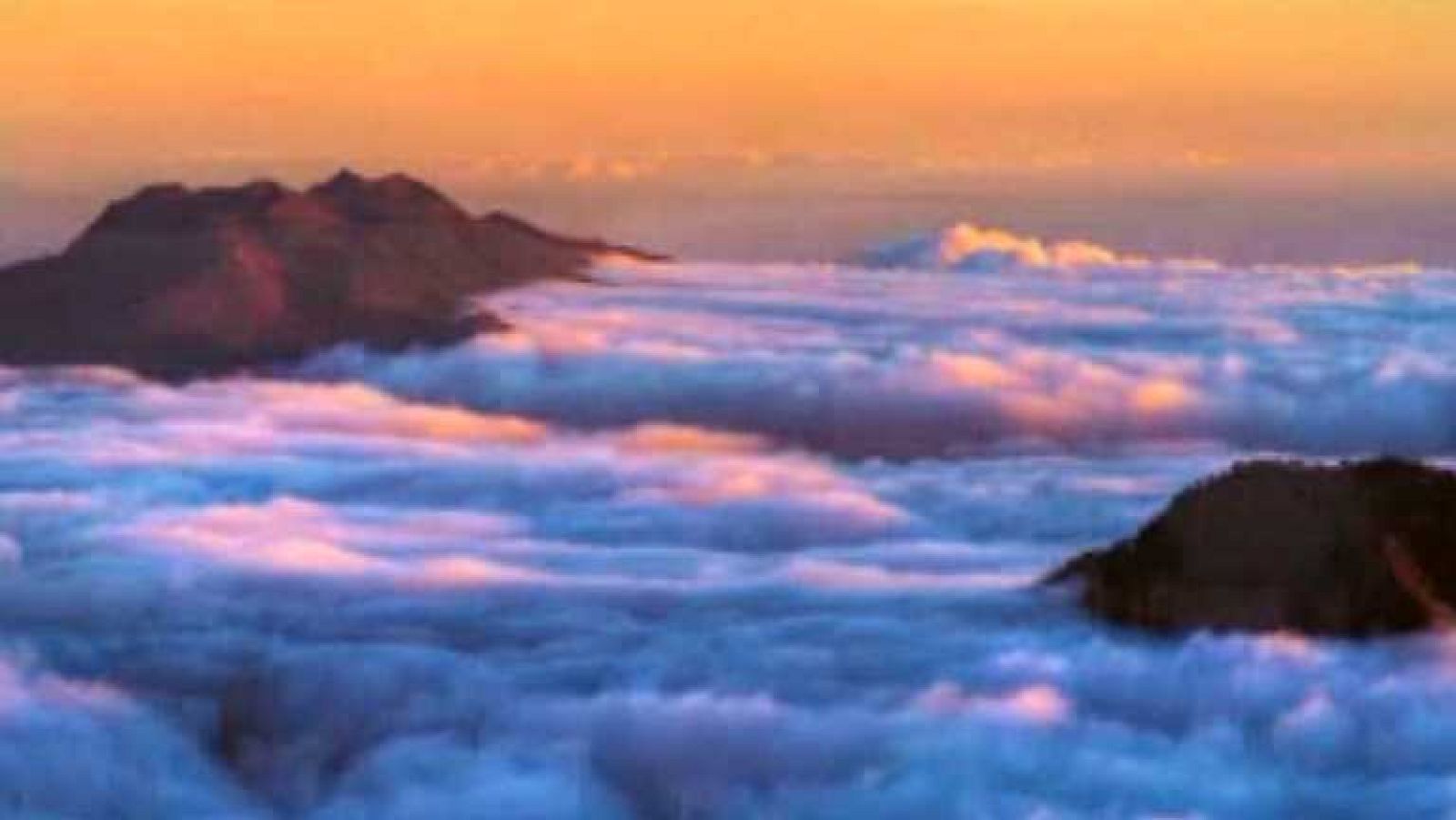 España en 24 horas - 19/02/14 - Ver ahora