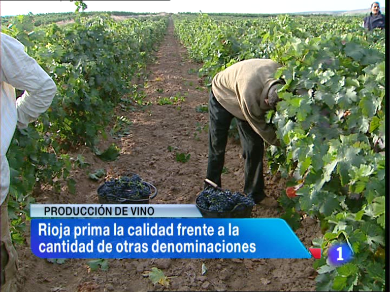 Informativo Telerioja - 20/02/14 | Ver