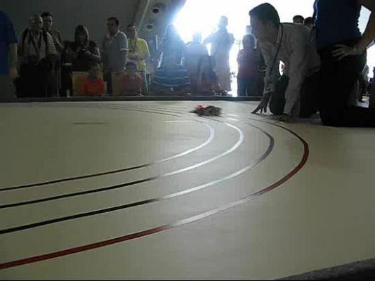 Ciencia y tecnología en Rtve.es - Competición de carreras