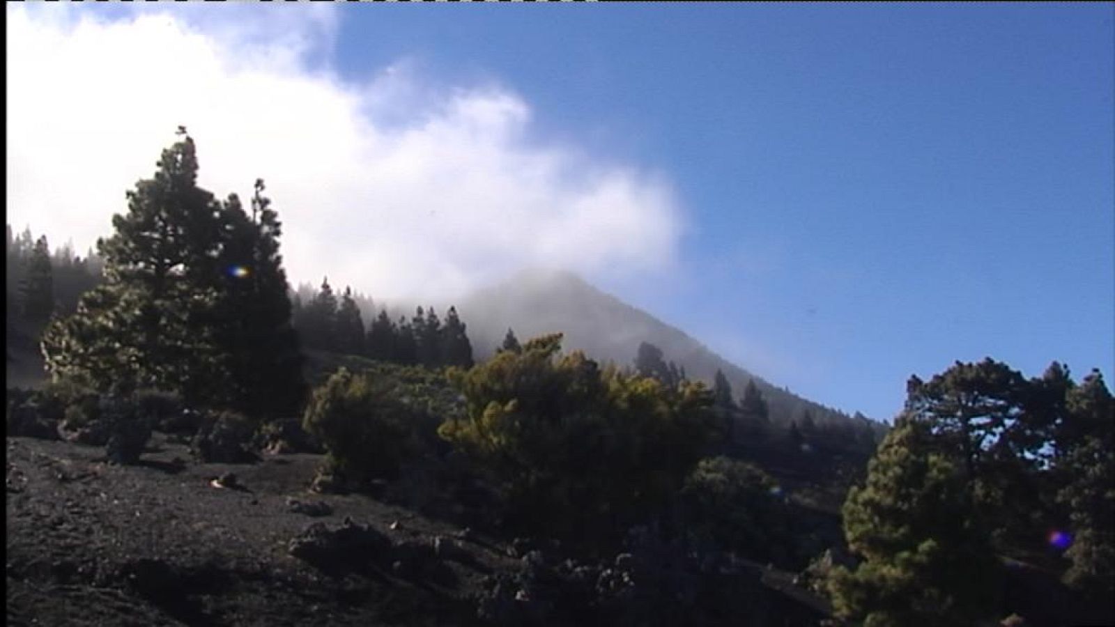 El tiempo en Canarias - 21/02/14 | Ver
