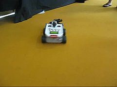 Pelea de robots