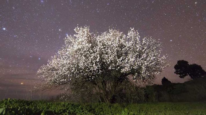 El tiempo - Descenso moderado de las temperaturas diurnas
