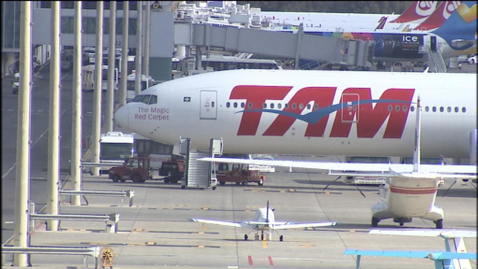 Telecanarias - 23/02/14 | Ver