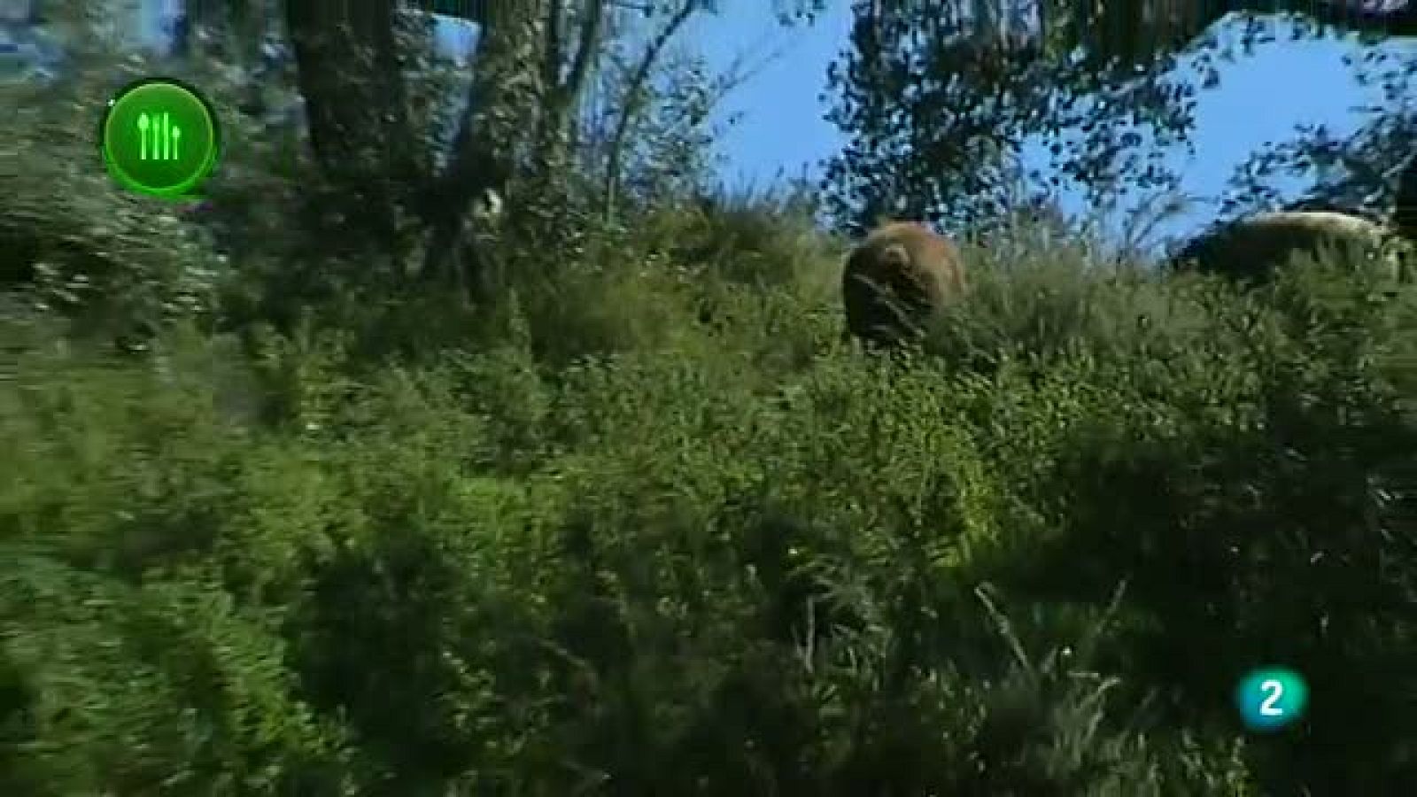 Agrosfera - Con mucho gusto - Manchados de Jabugo