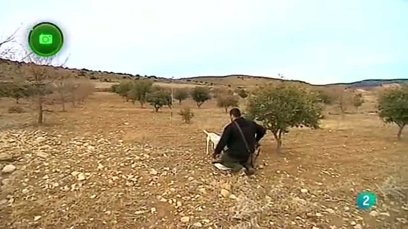 Agrosfera - En clave rural - La trufa, Teruel