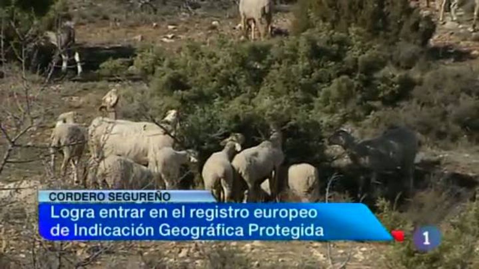 Noticias de Castilla-La Mancha: Noticias de Castilla-La Mancha. 24/02/14 | RTVE Play