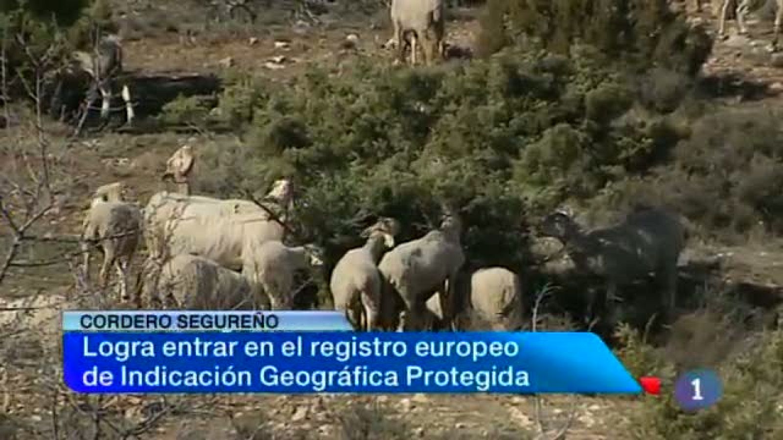 Noticias de Castilla-La Mancha: Castilla-La Mancha en 2'. 24/02/14 | RTVE Play