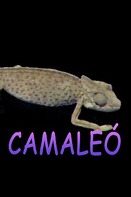 Teatre a l'Arxiu - Camaleó - La mort