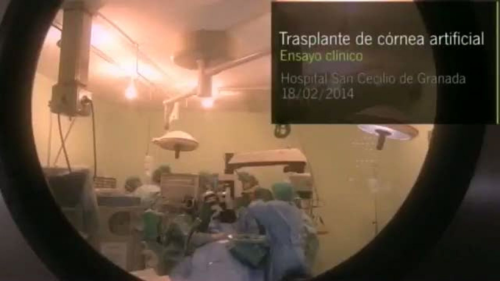 Noticias Andalucía - 24/02/2014 | Ver