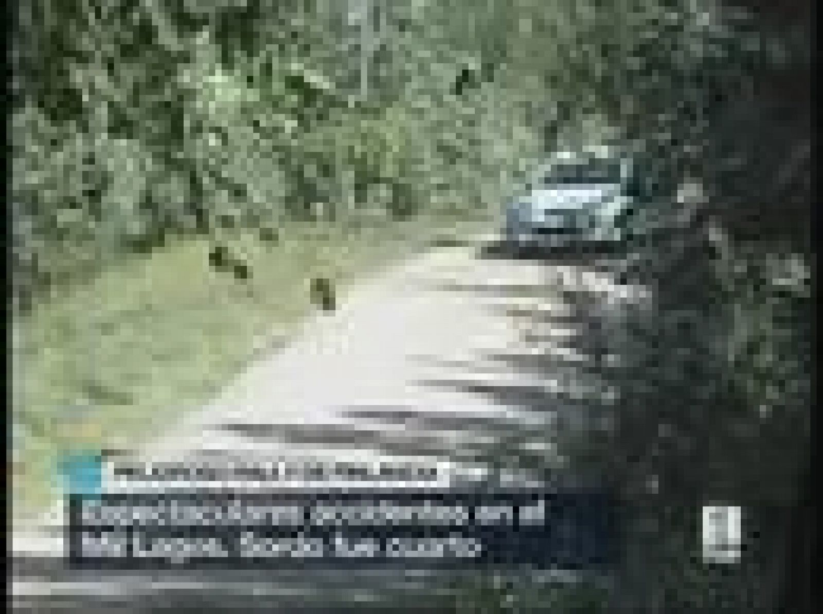 Loeb conquista el Rally de Finlandia | Ver