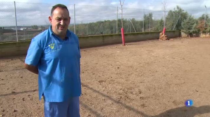 Repor - Decla Antonio Martin