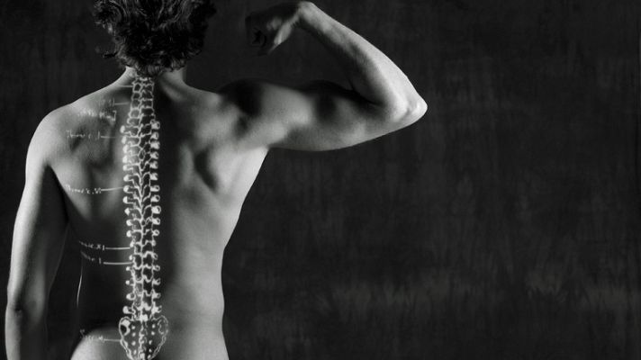 La mañana - Las curvas de la columna