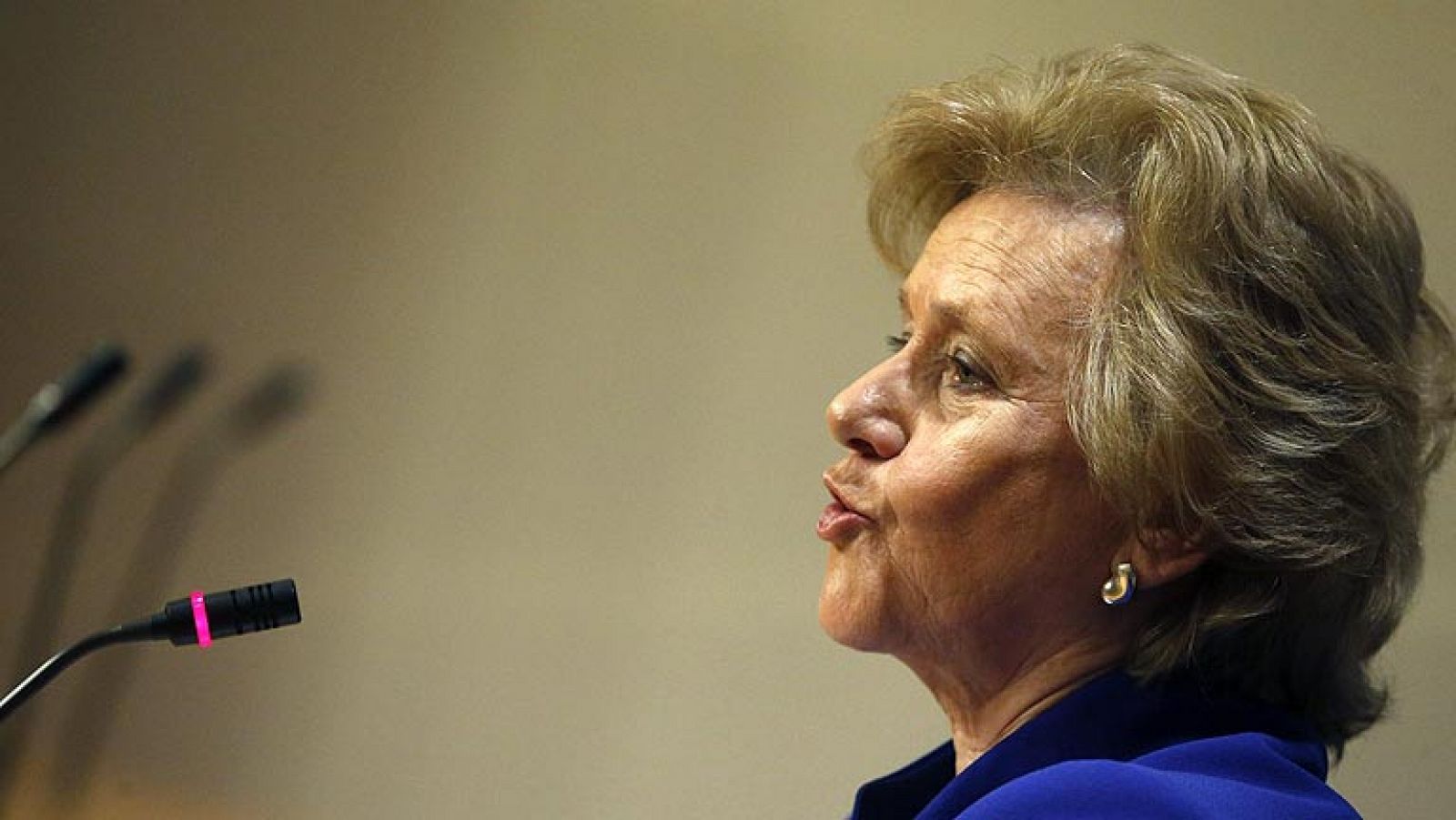 La defensora del pueblo cree que el uso de pelotas de goma en Ceuta no fue "prudente" - Informativo 24h | Ver