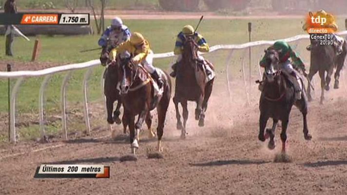 Turf - Turf - 28/02/14