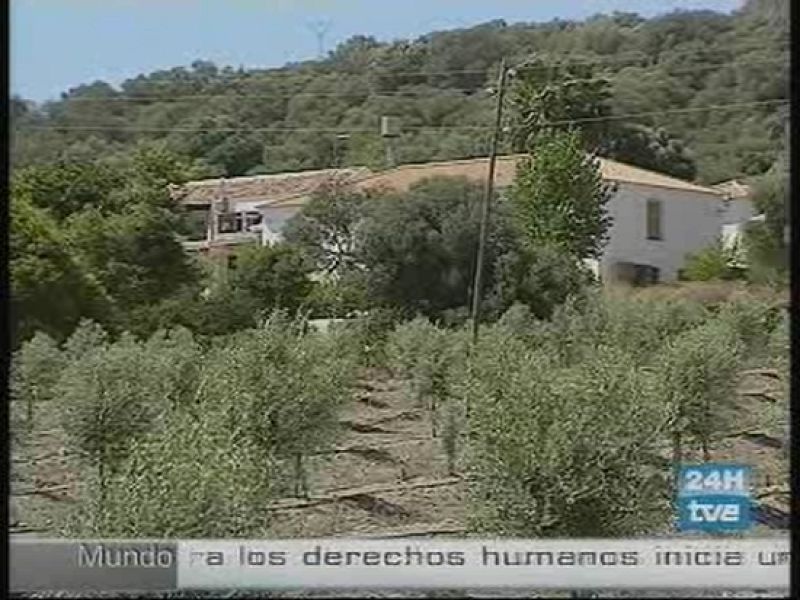  Continúa en paradero desconocido una de las niñas que se fugó de un centro de menores de Córdoba. Denunciaron malos tratos. 