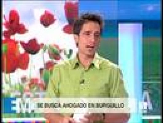 Esta mañana de verano - Esta mañana de verano - 04/08/08