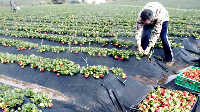 El paro registrado bajó en 1.949 personas en febrero